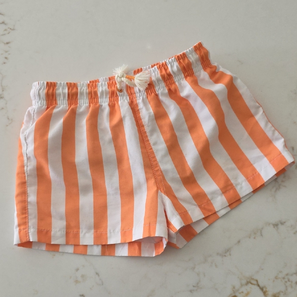 Zara Wide Stripe Swim Shorts